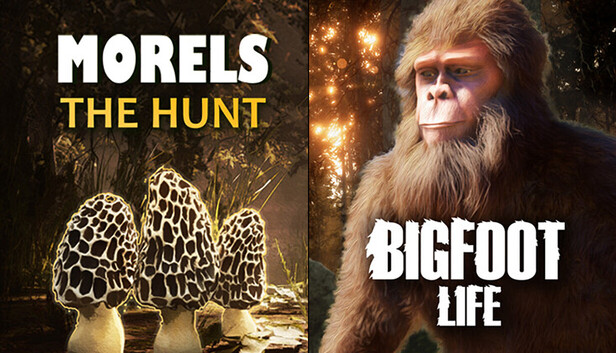 74a5a6b8-f59a-b1d5-8b85-618278ea38f0