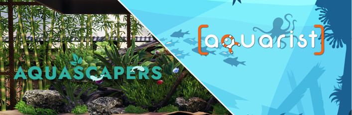 Aquascapers and Aquarist