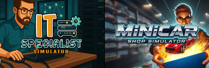 IT Specialist in MiniCar Shop