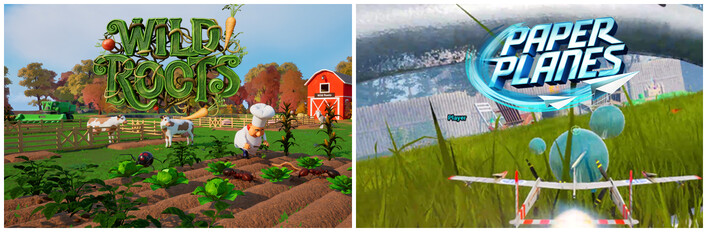 Farm and Flight Bundle