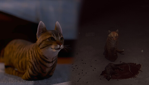 8f9eae3e-ff7c-5f33-3340-37af7cc3700e