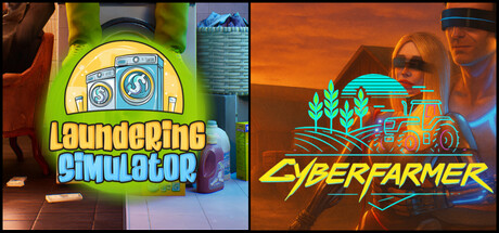 Laundering Simulator and Cyber Farmer