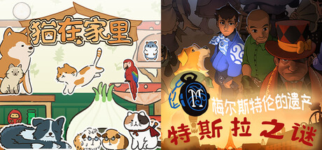 ⚡️特斯拉之谜 x 🐱猫在家里