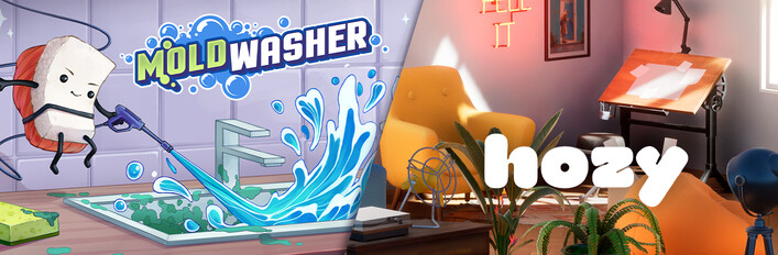 Moldwasher x Hozy