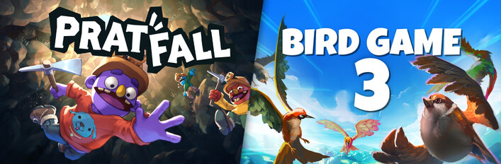 Pratfall x Bird Game 3