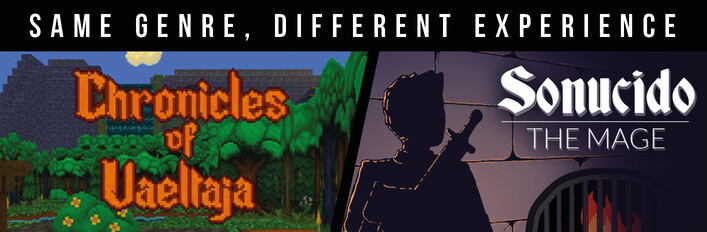 Chronicles of Vaeltaja & Sonucido: The Mage - same genre, different experience