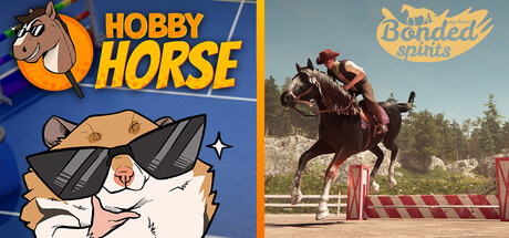 My Hobby Horse Ride