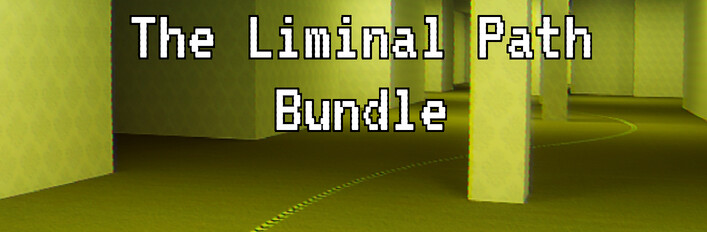 The Liminal Path Bundle