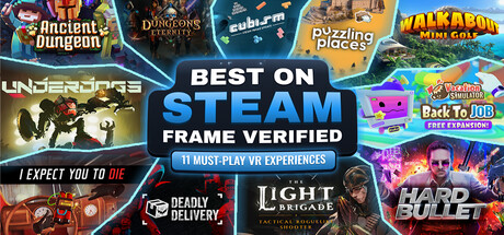 Best on Steam Frame Verified