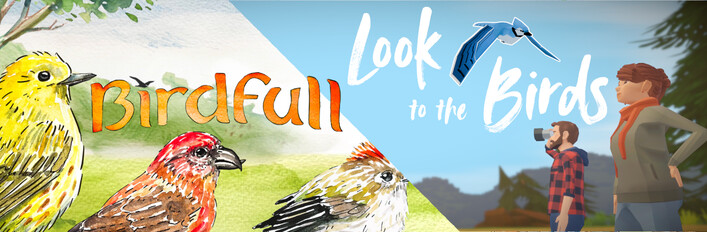 Look to the Birdfull