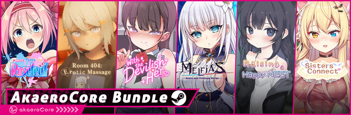 AkaeroCore Bundle